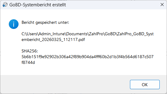 Dialog GoBD-Systembericht